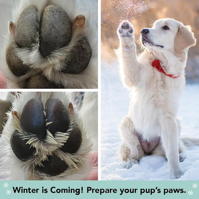 Natural Dog Company PawTection Balm for Dogs – Winter Paw Protection from Snow, Ice & Salt, Wax-Based Paw Barrier Balm, All Breeds for Cold Weather Walks & Outdoor Adventures, Lick-Safe, 0.15 oz Stick