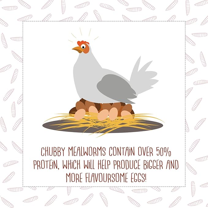 Chubby Dried Mealworms High-Protein Non-GMO Treats for Chickens, Ducks, Wild Birds & Backyard Pets