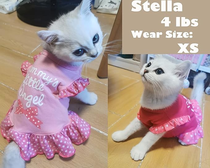 XPUDAC 4 Pieces Dog Dress Shirt Puppy Clothes for Small Girl Cute Doggie Dresses Summer Clothes Apparel for Dogs Cats (Pink Angel, Medium(8-11 lbs))