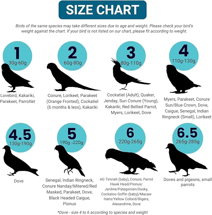 Bev's Bird Boutique Regular Flyper Adjustable Bird Diaper | Reusable, Washable Cloth | Comfort Fit for Parrot, Cockatiels, & Other Small Birds | Fashionable Avian Accessories, Dungaree Jeans, Size 8.5