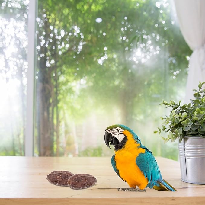 YARNOW 8pcs Natural Dried Fruit Bird Chew for Parakeets Cockatiels Parrot Biting to Mental Health and Prevent Boredom with Unique Shapes and Safe Materials