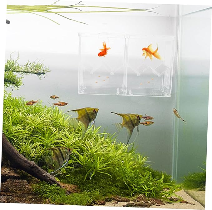 FRCOLOR 1pc Juvenile Fish Breeding Box Dual Isolation Tank Lightweight Plastic Aquarium Breeder High Transparency for Safe Fish Hatching and Separation