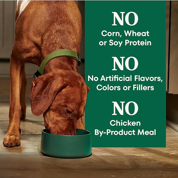 Nutro Natural Choice Senior Dog Food, Lamb & Brown Rice Recipe, 4.5 lb. Bag (Pack of 2)