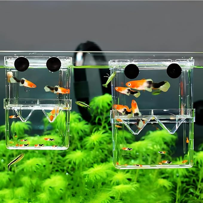 Petzilla in-Tank Aquarium Breeder Box for Fish Tank, Breeding Incubator for Small Fish Hatchery, Acrylic Divider for Shrimp Clownfish Aggressive Injured Fish (Small)