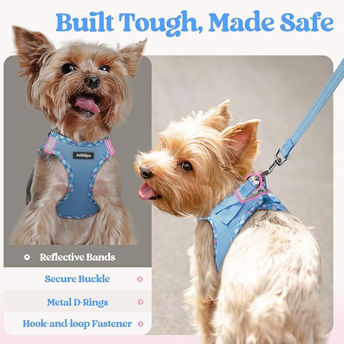 rabbitgoo Dog Harness Small Medium Sized and Leash Set, Step in Soft Light Puppy Vest, Breathable Mesh Pet Harness, Reflective for Safe Easy Walking, Blue & Plaid Trim L