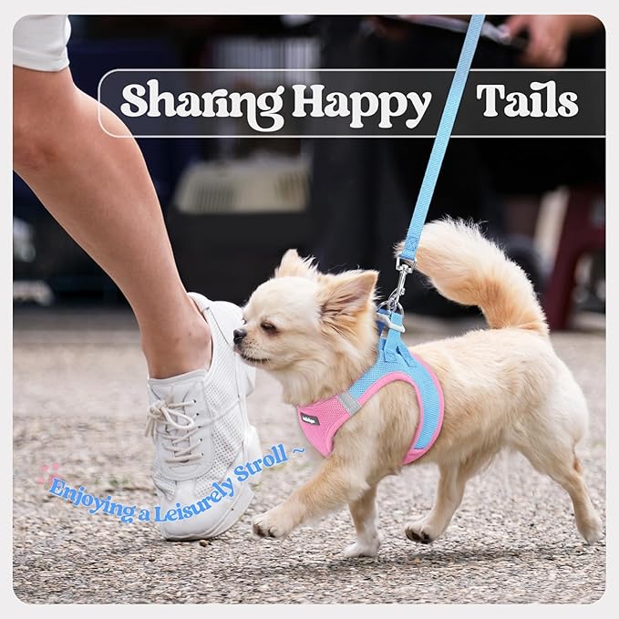 rabbitgoo Dog Harness Small Medium Sized and Leash Set, Step in Soft Light Puppy Vest, Breathable Mesh Pet Harness, Reflective for Safe Easy Walking, Blue & Light Pink L