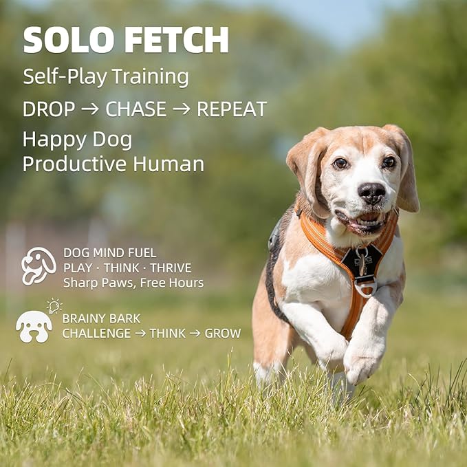 AutoDog Ball Launcher - Large Silent Dog Ball Thrower with Remote Control, 3 Adjustable Distances (40t/60ft/80ft), Rechargable,Includes 6 Durable 2.5" Balls for Medium/Large Dogs (Orange, Large)