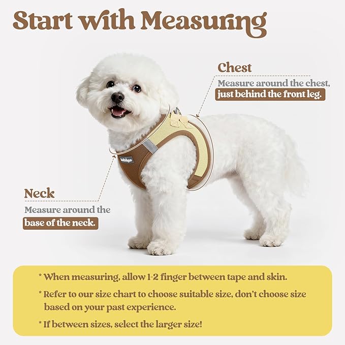 rabbitgoo Dog Harness Small Sized and Leash Set, Step in Soft Light Puppy Vest, Breathable Mesh Pet Harness, Reflective for Safe Easy Walking, Brown & Beige S