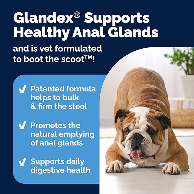 Vetnique Glandex Anal Gland Soft Chew Treats with Pumpkin for Dogs Digestive Enzymes, Probiotics Fiber Supplement for Dogs Boot The Scoot (Bacon Flavor Chews, 120 Count)