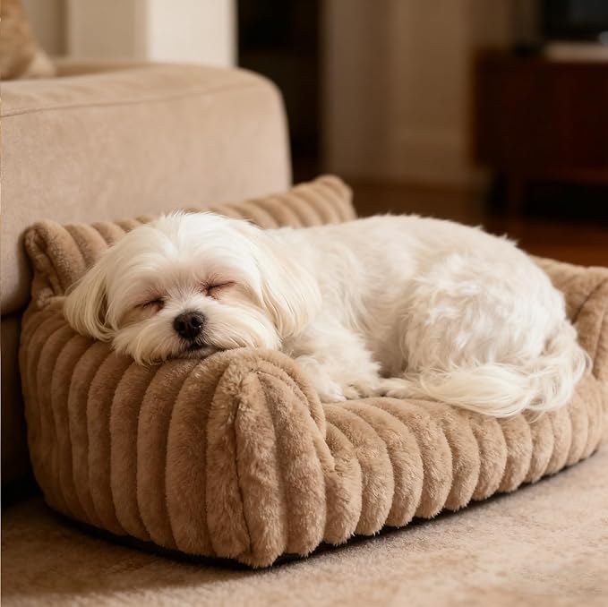 Cat Couch for Pets - Cute Cat Beds for Indoor Cats with Removable Cover, Washable Soft Corduroy Plush, Fluffy Supportive Pet Sofa Chair for Dog, 36 inch, Brown L