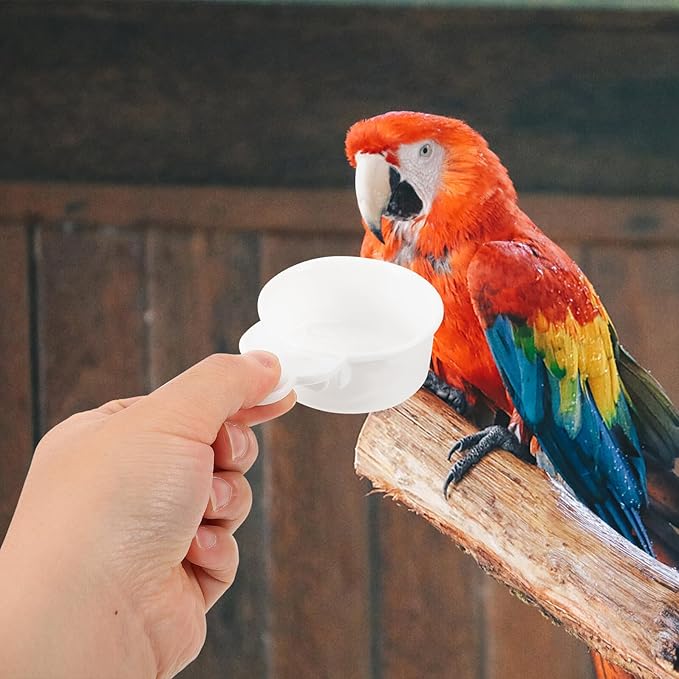 BESTonZON 2pcs Bird Feeder and Water Dispenser Cups for Cage Small Parakeet Food and Water Feeding Bowls Plastic Bird Feeding Watering Supplies for Small
