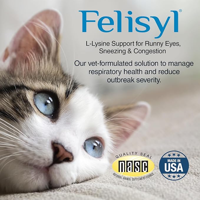 L-Lysine Gel for Cats & Kittens (5oz) – Immune System, Respiratory & Eye Health Support. Reduces Sneezing, Runny Nose & Watery Eyes. Daily Salmon-Flavor Supplement – Made in USA (1 Pack)