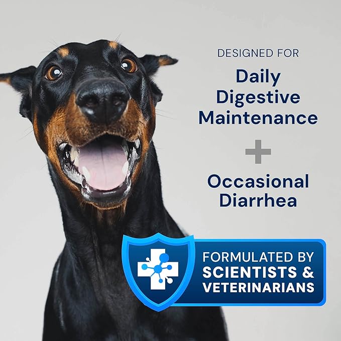 Animal Biome Gut Maintain Probiotics and Prebiotics for Dogs - Reduce Diarrhea Flareups - for Large Dogs (60 Capsules)