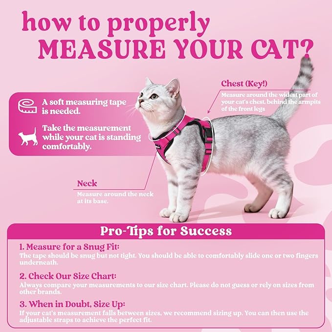rabbitgoo Cat Harness and Leash for Walking, Escape Proof Soft Adjustable Vest Harnesses for Cats, Easy Control Breathable Reflective Strips Jacket, Rose Red,S