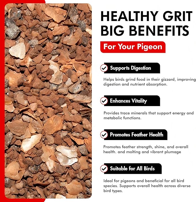 Morning Bird Pigeon Grit - Healthy & Nutritious Pigeon Food to Support Strong Muscles & Bones for Grit Eating Birds - Supports Digestion & Packed with Essential Minerals 18 lbs (2-Pack, 9 lbs Each)