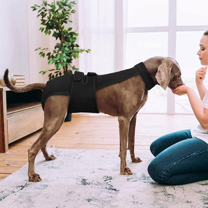 Dog Diapers Female Reusable Washable Period Diaper with Suspender,Adjustable Dog Panties Anti-Harassment, Doggie Diapers for Incontinence, Heat Cycles, or Senior Dogs（XS-XL