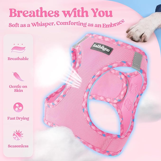 rabbitgoo Dog Harness Small Medium Sized and Leash Set, Step in Soft Light Puppy Vest, Breathable Mesh Pet Harness, Reflective for Safe Easy Walking, Pink & Plaid Trim L