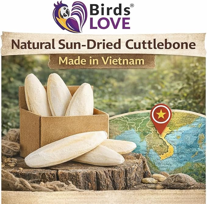 Birds LOVE 3.5-4″ Cuttlebones for Birds – 100% Natural Sun-Dried Calcium Carbonate Mineral Supplement – for Parakeets, Budgies, Cockatiels, Finches & Canaries – 4 lb with Holder – Made in Vietnam