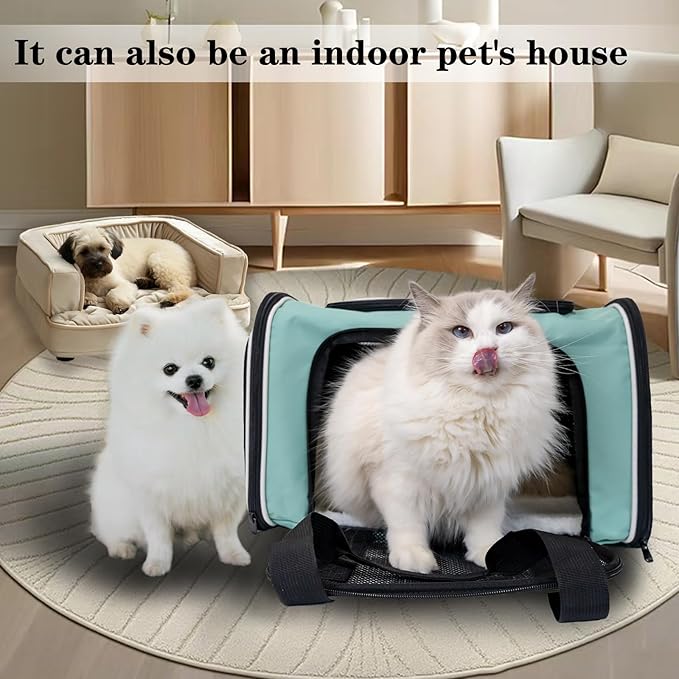 Top tasta Dog Cat Carrier Pet Carriers for Small Medium Large Cats Dogs Carrier Soft Sided Small Puppy Dog Carrier Portable Foldable Airline Approved Dog Cat Travel Carrier Green Large