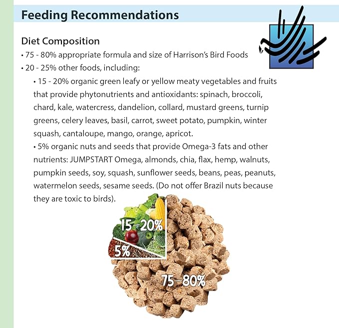Harrison's Bird Foods Adult Lifetime Coarse Certified Organic Non-GMO Daily Maintenance Formula for Medium to Large Birds, Parrots, Cockatoos, Macaws etc, Suitable for All Life Stages, 454g / 1lb
