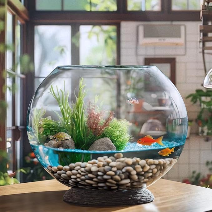 MANON ROSA Turtle Bowls Round Ecological Tank Container Clear Aquarium Habitat Small Desktop Home for Hydroponic Plants Fish Starter Choice (M(7.9" D))