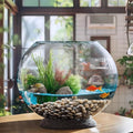MANON ROSA Turtle Bowls Round Ecological Tank Container Clear Aquarium Habitat Small Desktop Home for Hydroponic Plants Fish Starter Choice (S(5.9" D))