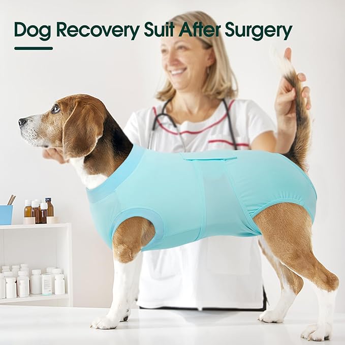 Kuoser Dog Recovery Suit for Dogs After Surgery, Soft Dog Surgical Onesie for Female Male Dogs Spay Neuter, Anti-Licking Pet Bodysuit for Abdominal Wounds, Skin Disease, E-Collar Alternative, Blue L