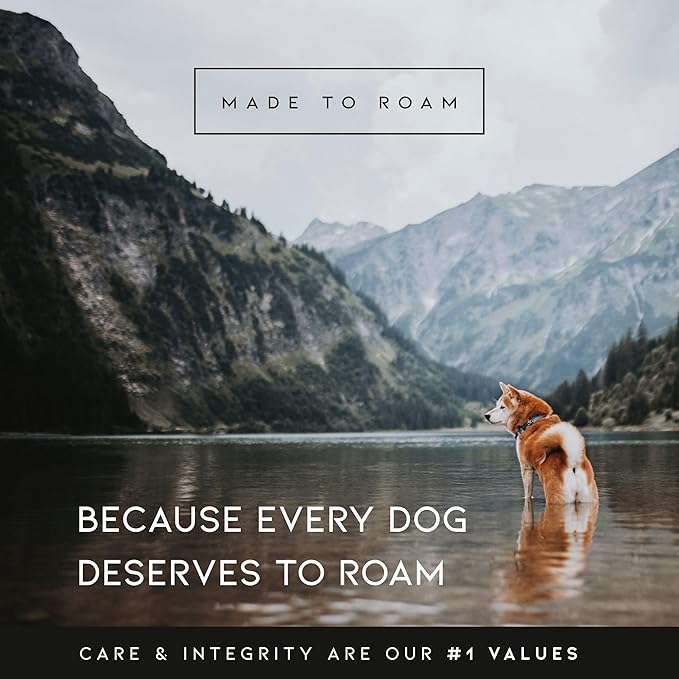 MADE TO ROAM Premium Explorer Harness - Y-Shaped Dog Harness with Adjustable Durable Nylon, Soft Padding, Metal Buckles and Leather Handle for Small, Medium, Large Dogs (Washington Rain, Size 5)