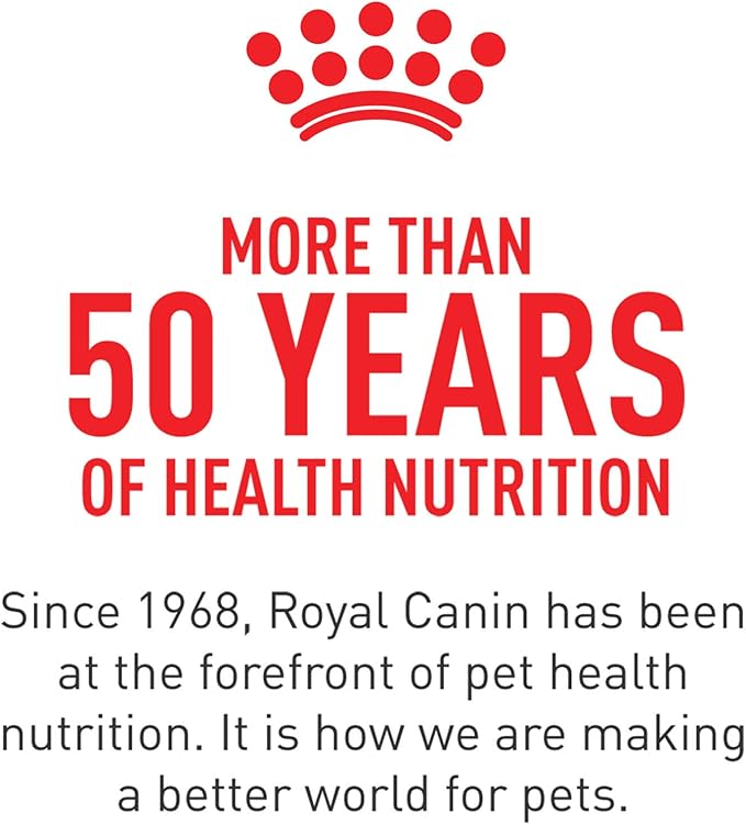 Royal Canin Breed Health Nutrition Maltese Adult Dry Dog Food, 2.5 lb Bag