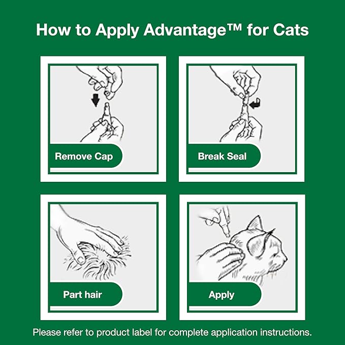 Advantage Topical Cat Flea Treatment and Prevention for Small Cats 2-9 lbs. | Apply Flea Drops Monthly | 2 Treatments (Pack of 3)