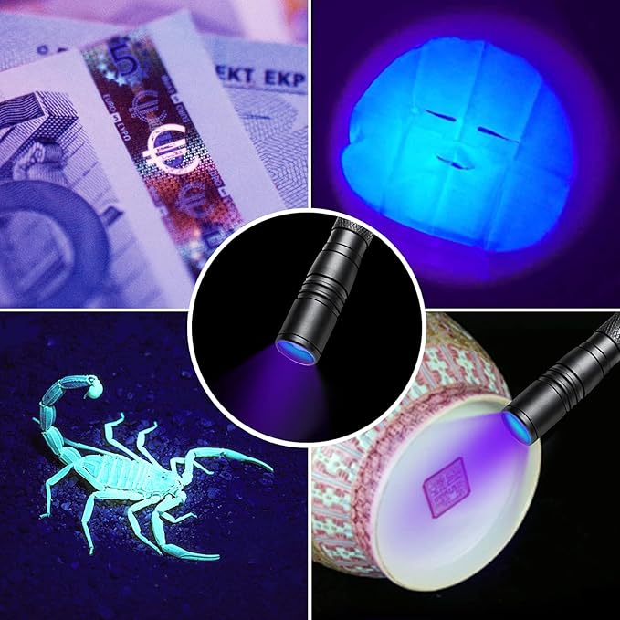 UV Flashlight Rechargeable, 395nm Ultraviolet, Zoomable Blacklight Detector for Pet Urine, Cat Dog Stains, Scorpion, Bed Bug