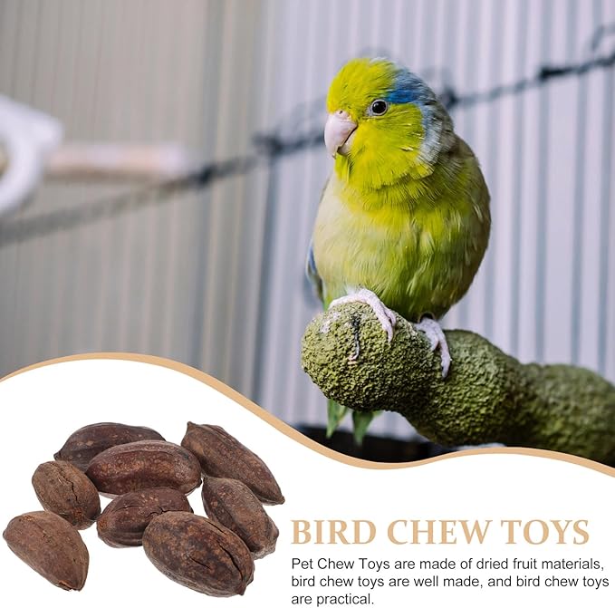 8pcs Natural Dried Fruit Parrot Chew for Budgie and Parakeet Foraging Accessories with Unique Shapes to Promote Healthy Beak and Mental Stimulation