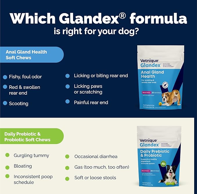 Vetnique Glandex Daily Probiotics for Dogs with Prebiotics to Support Gut Health with Fiber and Digestive Enzymes, Dog Probiotic Powder (8.5oz Powder, Pork Powder)