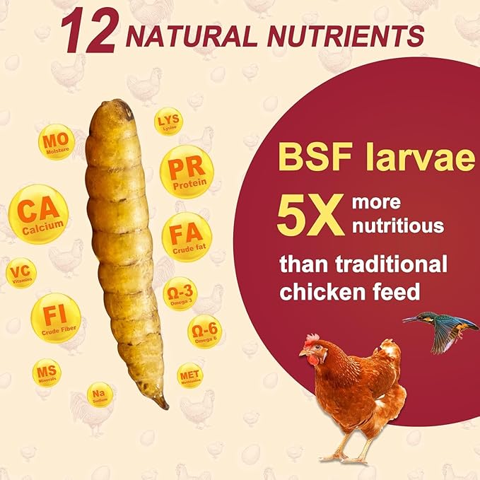 DE AVILA 20LB Dried Black Soldier Fly Larvae for Chickens Bulk, Non GMO 86X High Calcium Grubs Than Meal Worms for Laying Hens,100% Natural BSF Larvae for Chicken Worms Wild Bird Treats (2.5LB x 8)