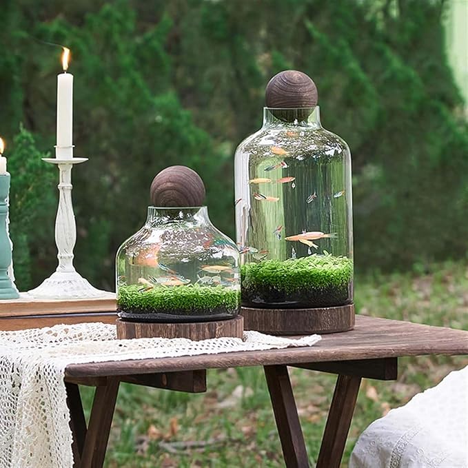 Ecological Aquarium Glass Fish Tank with Wooden Base Micro Landscape Self-circulating Hydroponic Plant Bottle Fish Bowl/Vase(S, A)