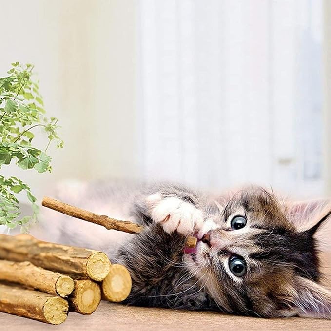 Silvervine Sticks for Cats, Natural Catnip Matatabi Chew Sticks Teeth Molar Chew Toys for Cat Kitten Kitty (at Least 12 PCS)