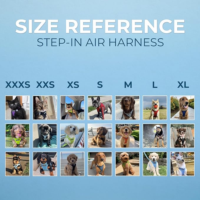 Best Pet Supplies Voyager Step-in Air Harness - All Weather Mesh, Reflective, No Pull Harness for Dogs, Cats - Secure with Hook & Loop Fastener, Buckle, Double D-Rings - Black, S