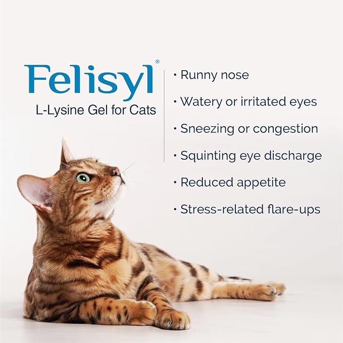 L-Lysine Gel for Cats & Kittens (5oz) – Immune System, Respiratory & Eye Health Support. Reduces Sneezing, Runny Nose & Watery Eyes. Daily Salmon-Flavor Supplement – Made in USA (1 Pack)