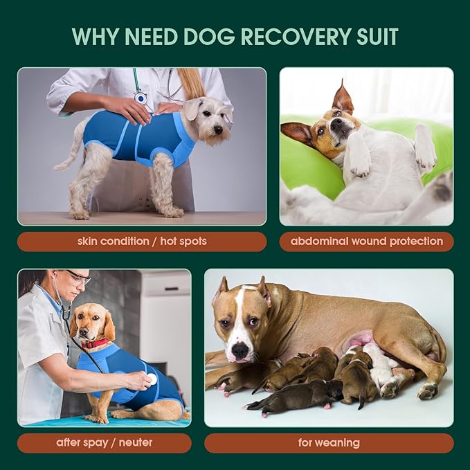 Kuoser Dog Recovery Suit, Female/Male Spay/Neuter Surgery Suit, Anti-Licking Pet Onesie, Blue, Small (7-15LB)