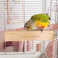 Bird Toys & Bird Perch, Bird Wooden Block Chewing Toy Parrot Foraging & Puzzle Toys Bird Cage Accessories for Conures Parakeets Cockatiels Lovebirds African Grey Macaws (Spinning Ball)