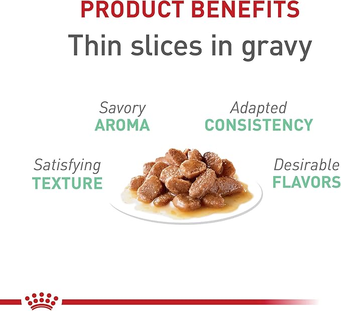 Royal Canin Feline Care Nutrition Digestive Care Adult Thin Slices in Gravy Cat Food, 3 oz (Pack of 12)