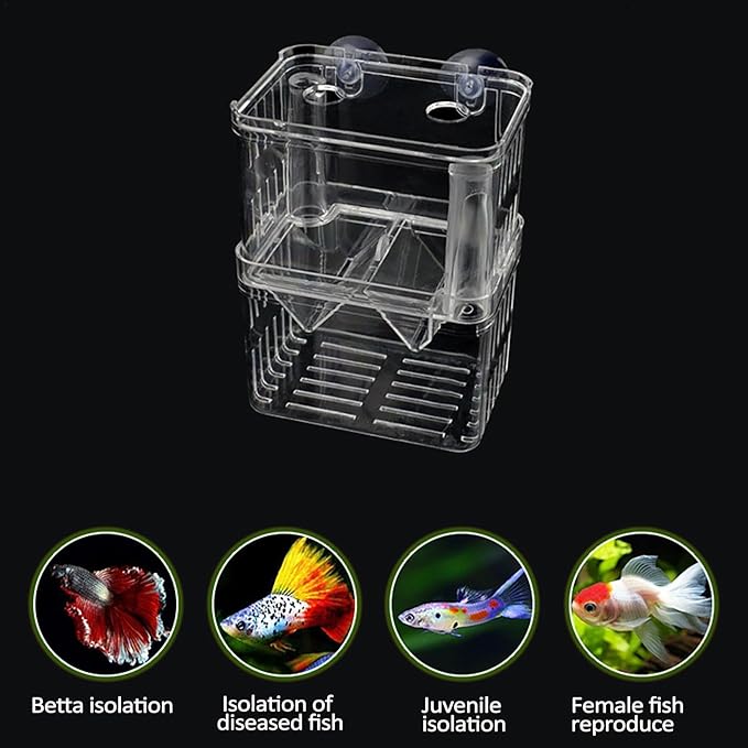 1/2 Fish Acclimation Box - Acrylic Hatchery Incubator Tank, Fish Breeder Box with 2 Suction Cups | Easily Install Breeding Isolation Box, Floating Breeding Box for Baby Fishes Shrimp Betta Guppy