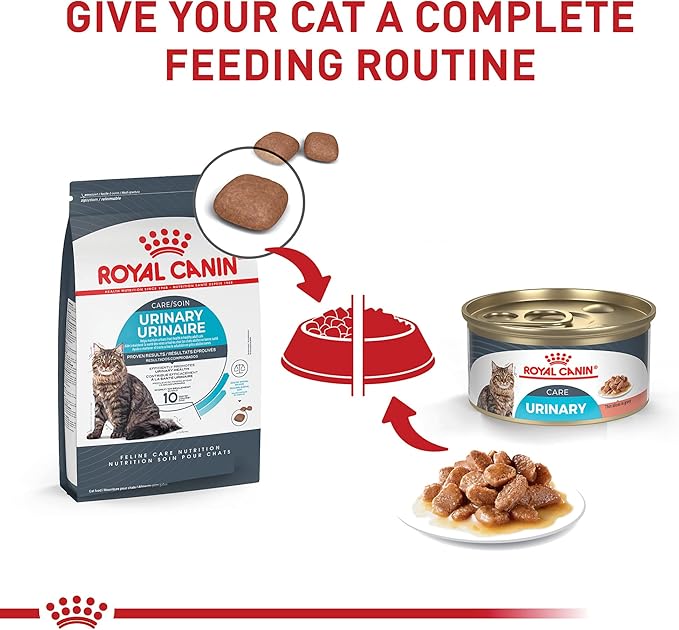 Royal Canin Feline Care Nutrition Urinary Care Adult Thin Slices in Gravy Cat Food, 3 oz (Pack of 24)