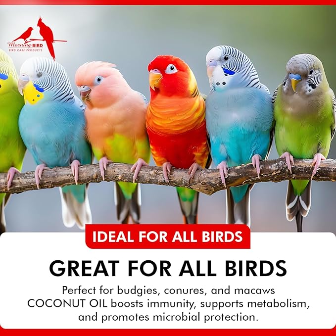 Morning Bird Coconut Oil for Birds 2 oz – Cold Pressed, Organic - Supports Immunity & Digestion – Boosts Energy & Feather Health – Easy to Mix – Safe for All Bird Life Stages
