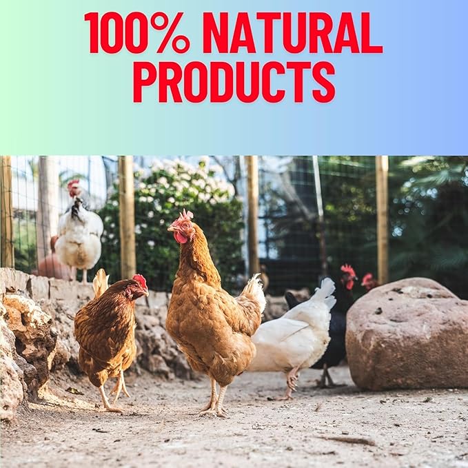 Pure Oyster Shells Minerals, High Calcium Supplement, Designed to Promote Strong Bones, Better Digestion, and Overall Well-Being for Pigeons, Small Cage Birds, Duck and Chickens 3 Pounds Bag