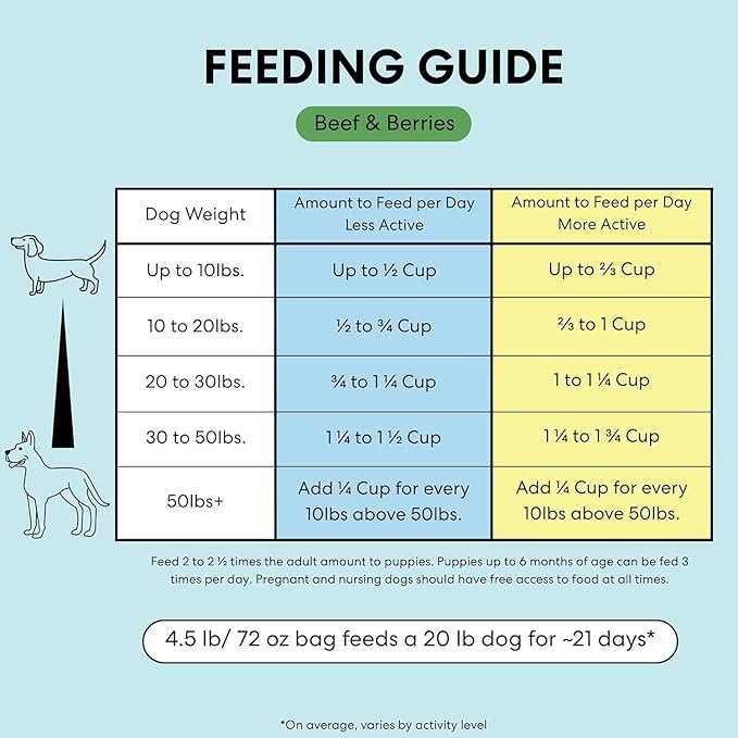 The Pets Table Beef & Berries Grain-Free Air Dried Dog Food, 3lbs / 48 oz Bag