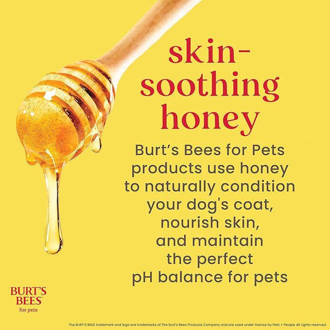 Burt's Bees for Pets Deodorizing Spray for Dogs with Apple and Rosemary, 99.7% Natural Origin Formulas, Waterless Dog Shampoo - Gentle Dry Shampoo for Dogs, Best Dog Shampoo, 10 oz