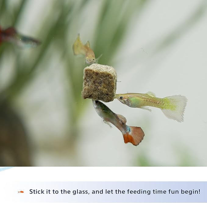 Aqueon Stick'ems Freeze-Dried Color Boosting Pet Fish Treat, 0.42 oz (Pack of 2)