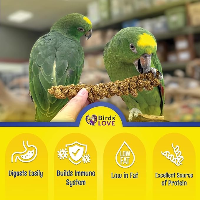 Birds LOVE Economy & Special Spray Millet GMO-Free (No Stems Only Edible Tops) for Birds Cockatiel Lovebird Parakeet Finch Canary All Parrots Healthy Treat - 7oz (Pack of 50)