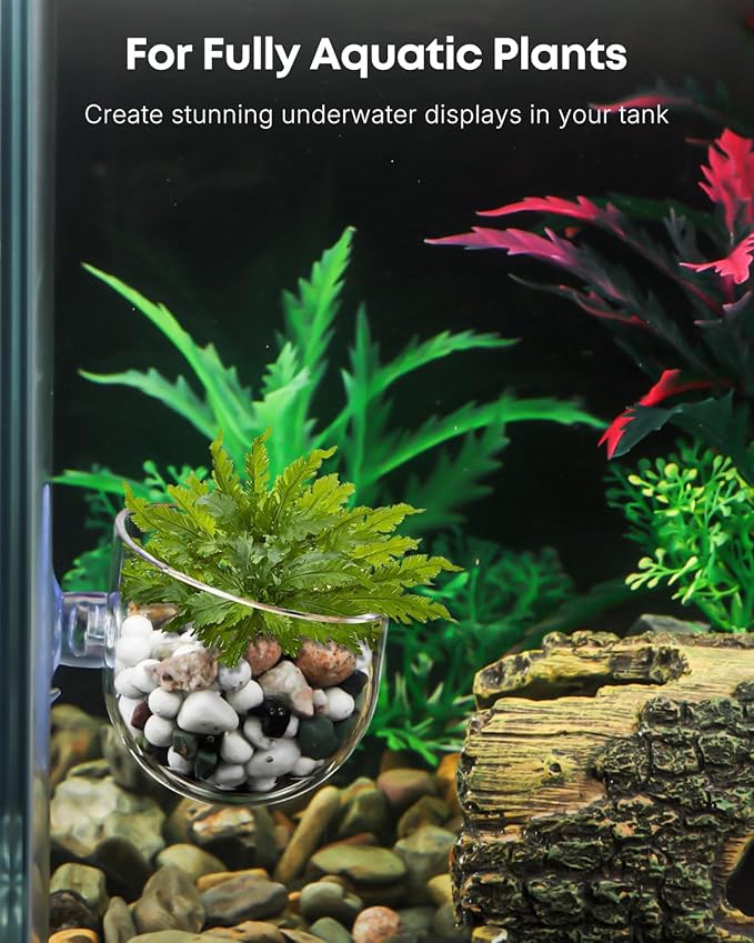 Pawfly 2 Pcs Aquarium Plant Holder, Fish Tank Plant Pot for Aquascape Decoration, Red Worm Fish Feeder, Aquarium Planter Cup with Suction Cup, Clear.